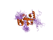 2e30: Solution structure of the cytoplasmic region of Na+/H+ exchanger 1 complexed with essential cofactor calcineurin B homologous protein 1