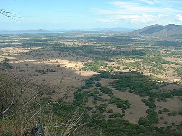 Parque nacional Barra Honda Localizado a 22 km de Nicoya, con una extensión de 2295 ha, es el único parque que cuenta con un sistema de cavernas subterráneas, de origen calcáreo. Posee una cobertura de charrales y tacotales (en la foto), bosque secundario deciduo y 290 ha de bosque siempre verde. Se pueden observar aves y mamíferos.