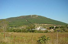 A low-growing forest and shrubland near Mount Aydos, a sunny day.