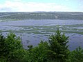 The lower end of the Hampton Marsh looking across to Darlings Island.