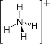 2-D skeletal version of the ammonium ion{{{画像alt1}}}