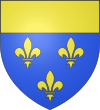 Blason de Estaing