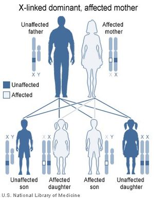 X Linked female recessive traits