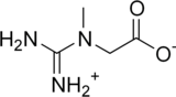 Skeletal formula of creatine