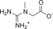 Structuurformule van creatine (als Zwitterion)