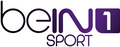 Ancien logo de beIN Sport 1 du 1er juin 2012 au 1er janvier 2014.