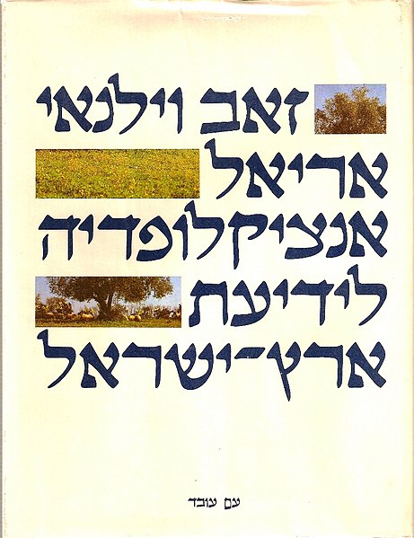 קובץ:Ariel Enc Cover.jpg