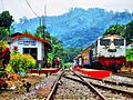 KA Pandanwangi dengan lok BB304 03 putih berhenti di stasiun Garahan melayani penumpang menuju Jember