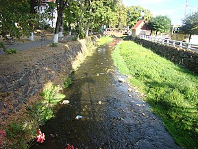 Săliște (Pârâul Negru)