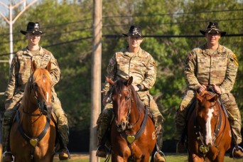 Air Cavalry Brigade welcomes new commander and cases its colors for upcoming rotation