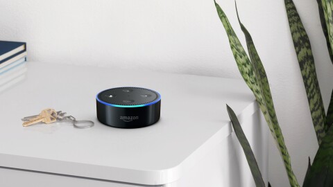 A black Amazon Echo dot on a shelf, next to a set of car keys. Books and a green plant are in the background.