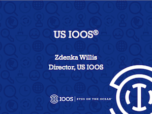 IOOS Office Program Update