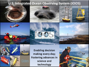 Atlantic Ocean Observations in the U.S. - U.S. IOOS