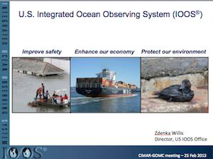 U.S. IOOS Overview: Policies, Capabilities, Goals, and International Activities