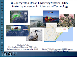 U.S. Integrated Ocean Observing System (IOOS) High Frequency (HF) Radar Network