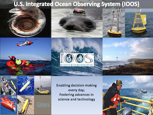 High-Level Overview of U.S. IOOS National Successes