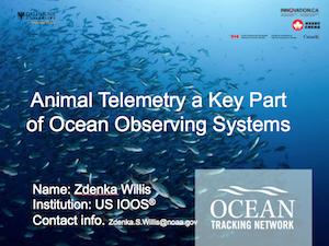 Animal Telemetry a Key Part of Ocean Observing Systems