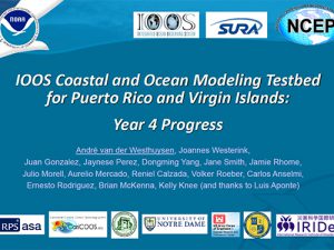 2016 COMT Annual Meeting: Puerto Rico/US Virgin Islands Inundation Report