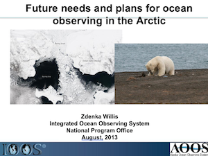 Future Needs and Plans for Ocean Observing in the Arctic