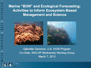 Marine “BON” and Ecological Forecasting: Activities to Inform Ecosystem-Based Management and Science