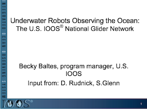 Underwater Robots Observing the Ocean: The U.S. IOOS National Glider Network