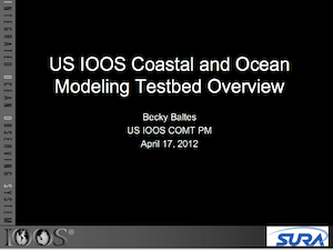 US. IOOS Coastal and Ocean Modeling Testbed Overview