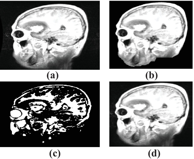 Fig. 5