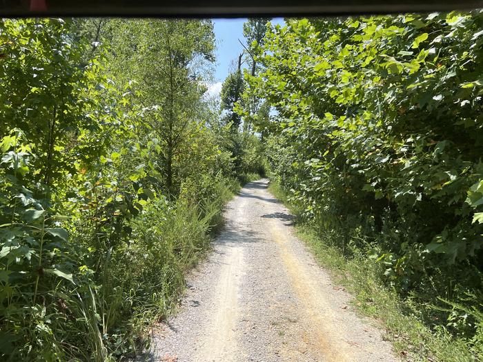 A photo of facility KENDALL CAMPGROUND with Shade