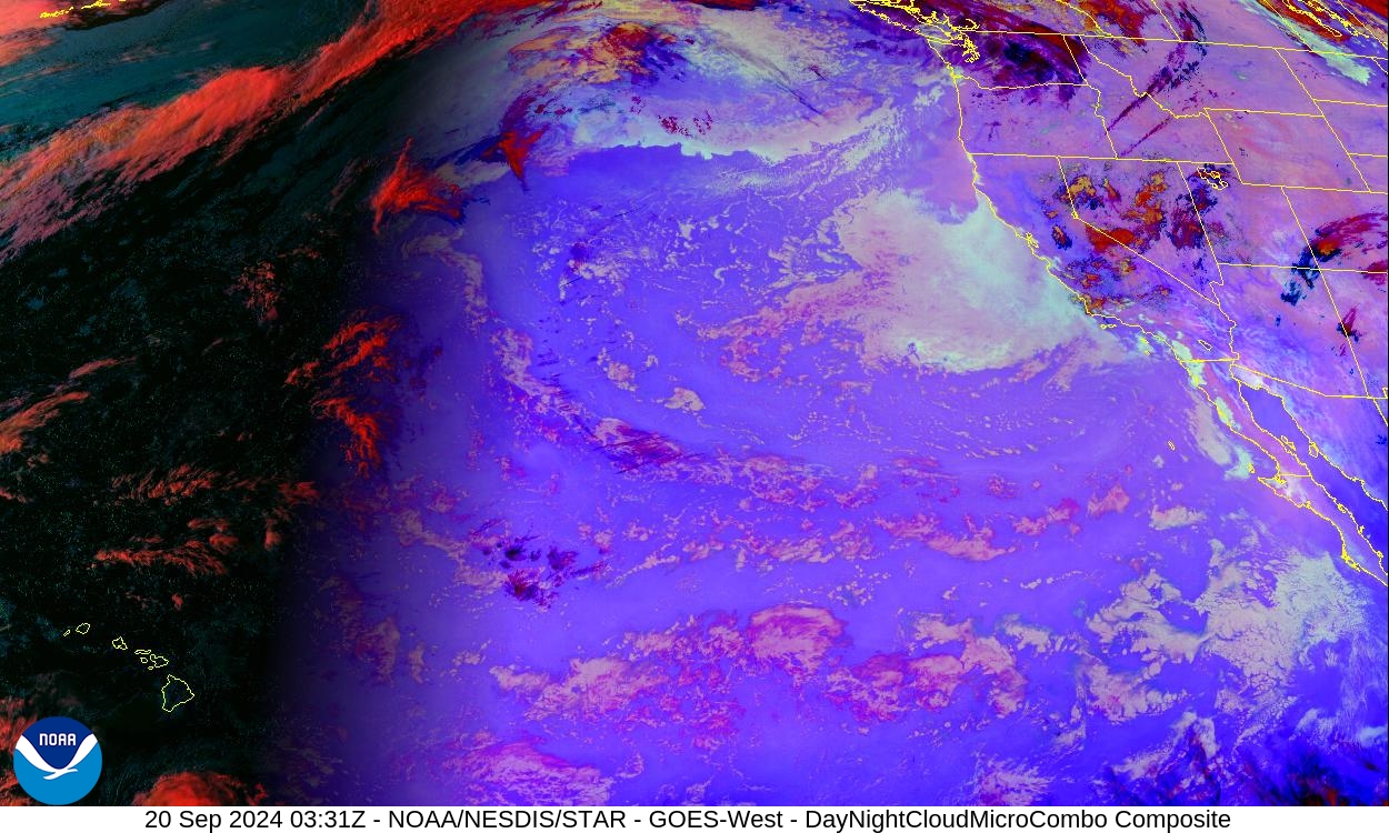 Day Cloud Phase / Night Microphysics - Day: show cloud-top phase; Night: distinguish clouds / fog - 20 Sep 2024 - 0331 UTC