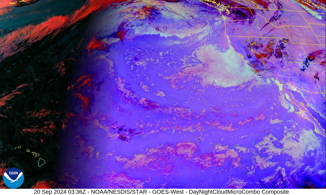 Day Cloud Phase / Night Microphysics - Day: show cloud-top phase; Night: distinguish clouds / fog - 20 Sep 2024 - 0336 UTC