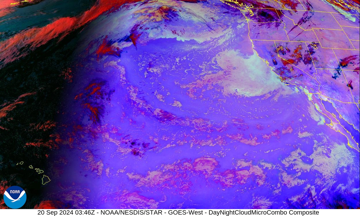 Day Cloud Phase / Night Microphysics - Day: show cloud-top phase; Night: distinguish clouds / fog - 20 Sep 2024 - 0346 UTC