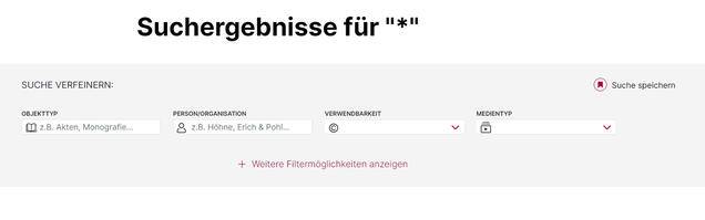 Die Anzeige der Filter auf einer Suchergebnisseite nach Sternchen-Suche