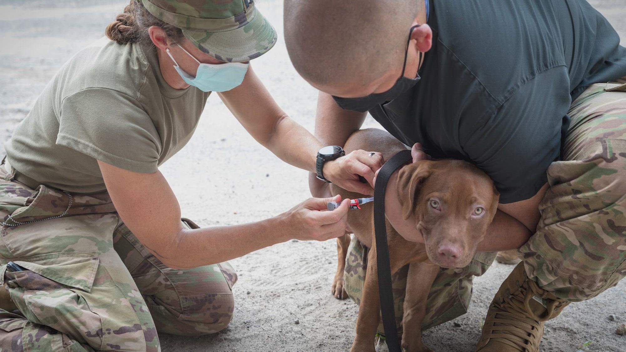 Maj. Gordon Armstrong, from the 109th Medical Detachment (Veterinary Services), discusses the no cost veterinary services his team provides during IRT Ozark Wellness on July 18, 2024. IRT Ozark Wellness provides medical, optometry, dental, behavioral health, and veterinary services at no cost to the community in Jasper and Newton Counties, Arkansas, from July 16-25.