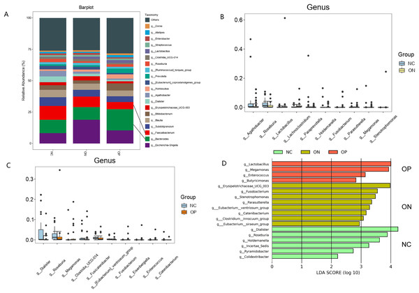 Bacterial community abundance at genus level of each group.