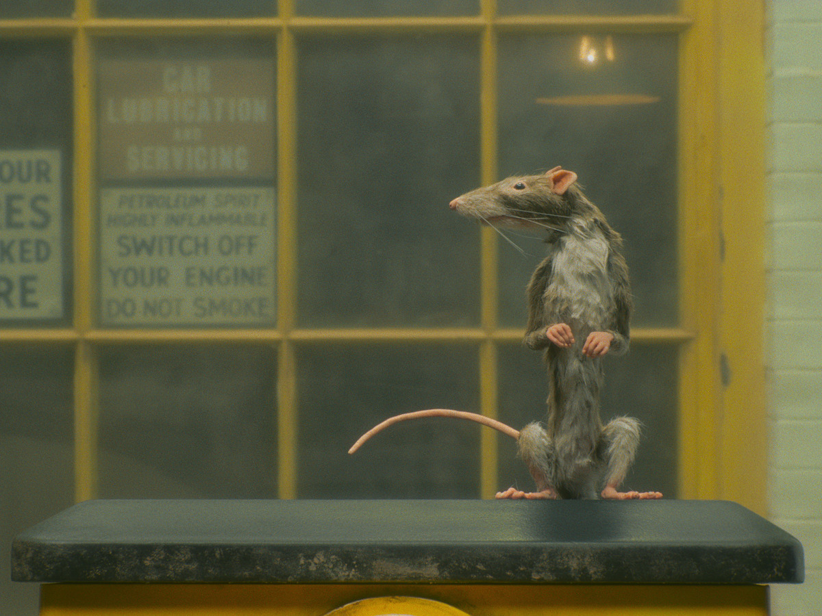 A rat stands alone in ‘The Rat Catcher.’