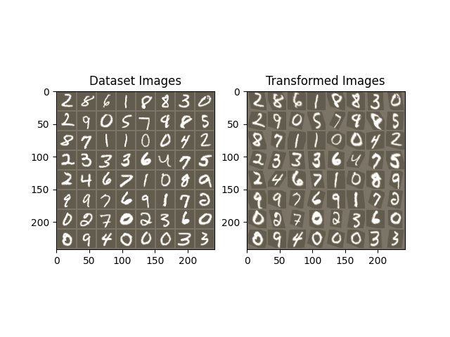 Dataset Images, Transformed Images
