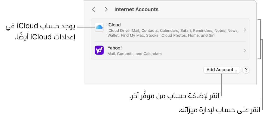 إعدادات حسابات الإنترنت تظهر بها الحسابات التي تم إعدادها على Mac مدرجة.