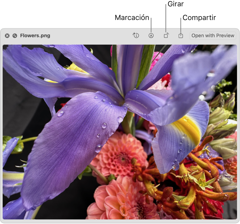 Una imagen de la ventana de “Vista rápida” con botones para marcar, rotar o compartir la imagen, o bien abrirla en la app Vista Previa.