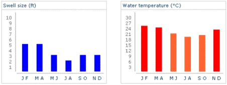 Australia Swell Size / Water Temperature