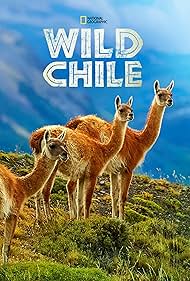 Wild Chile (2018)