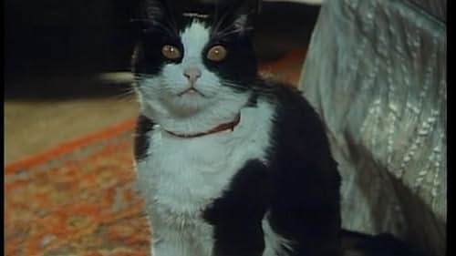 The Cat Brought It In (1990)