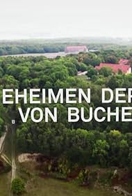 Die geheimen Depots von Buchenwald (2020)