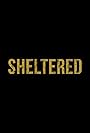 Sheltered (2024)