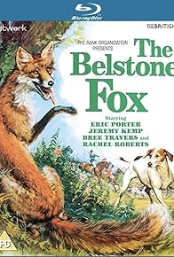 Primary photo for The Belstone Fox