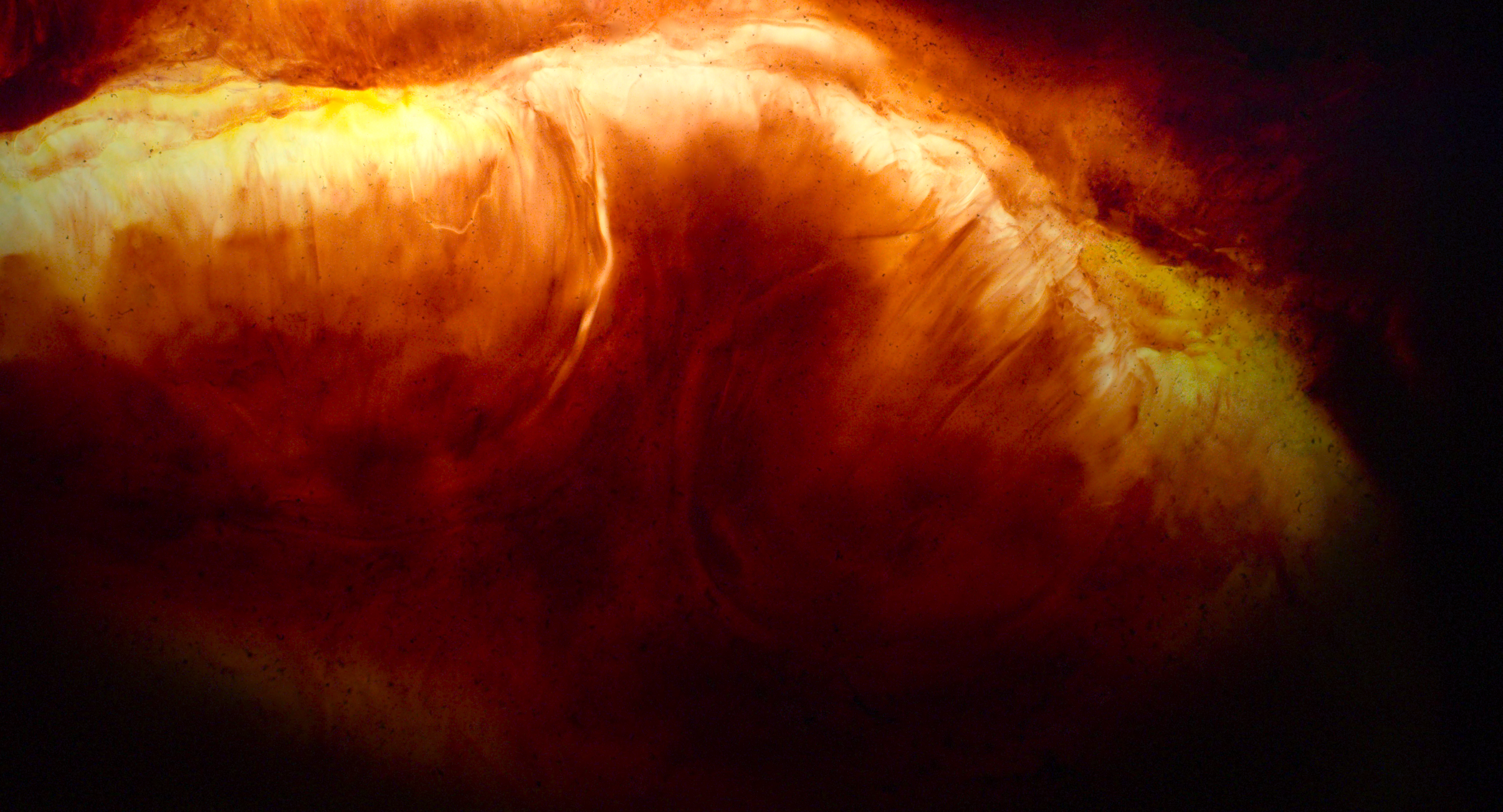 Voyage of Time (2016)