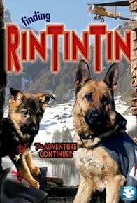 Primary photo for Finding Rin Tin Tin