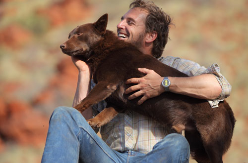 Josh Lucas and Koko in Red Dog (2011)