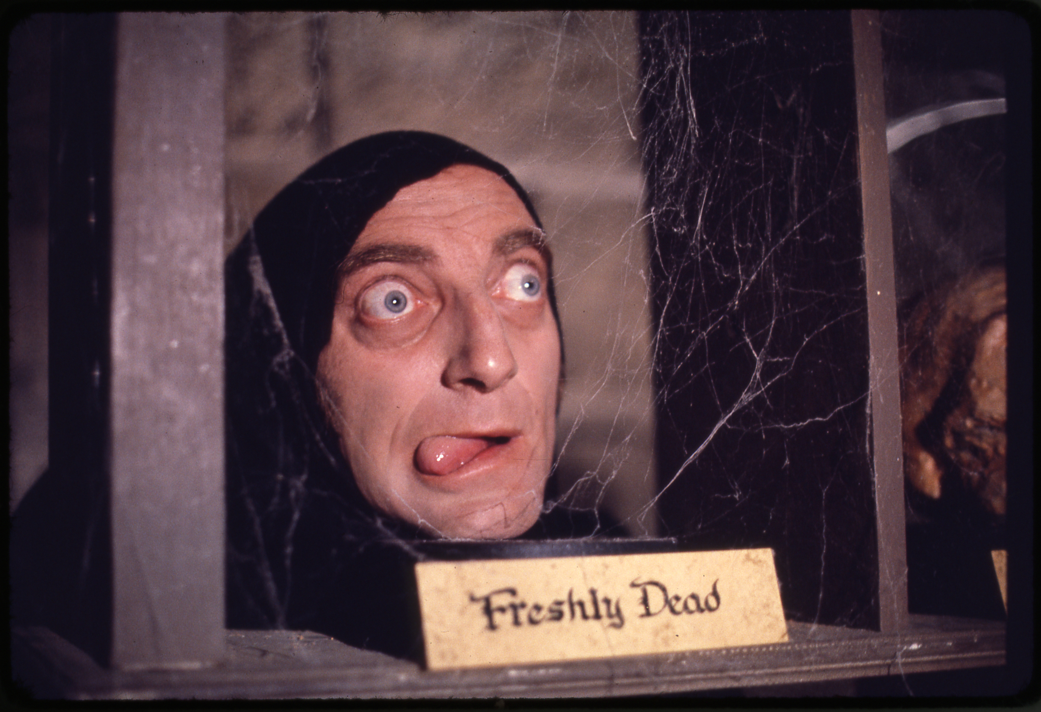 Marty Feldman in Young Frankenstein (1974)