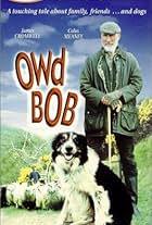 Owd Bob