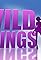 Wild Things's primary photo